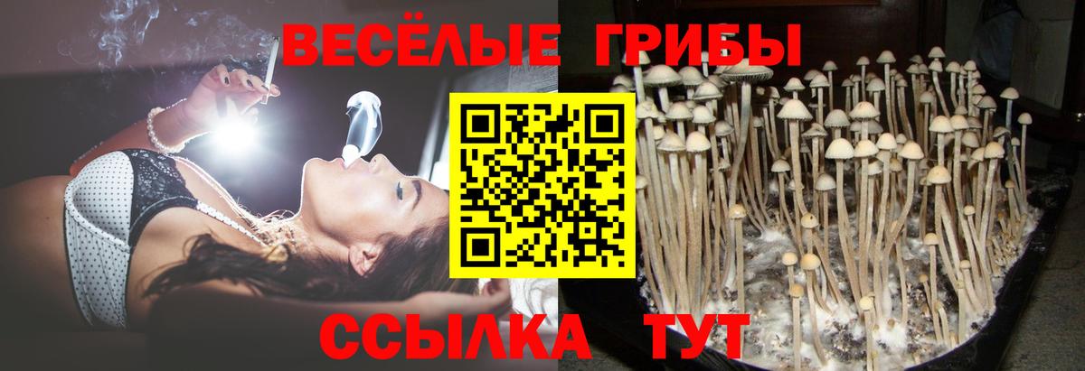 Псилоцибиновые грибы ЛСД  Вход с VPN  Добрянка 